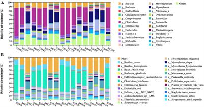 Interaction Between Functionally Activate Endometrial Microbiota and Host Gene Regulation in Endometrial Cancer